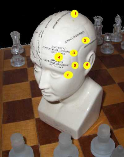 An indication of ECT electrode positions